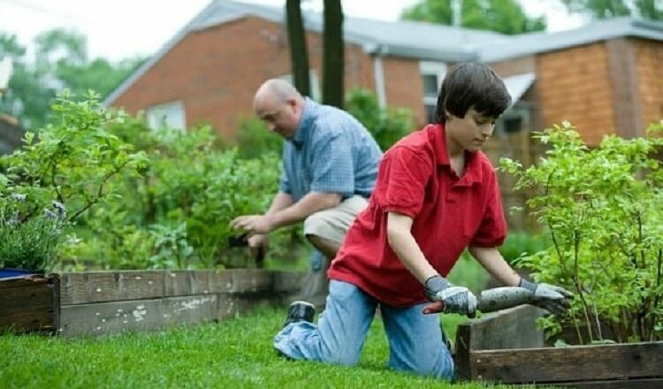 Top Ways To Keep Your Garden Looking Clean
