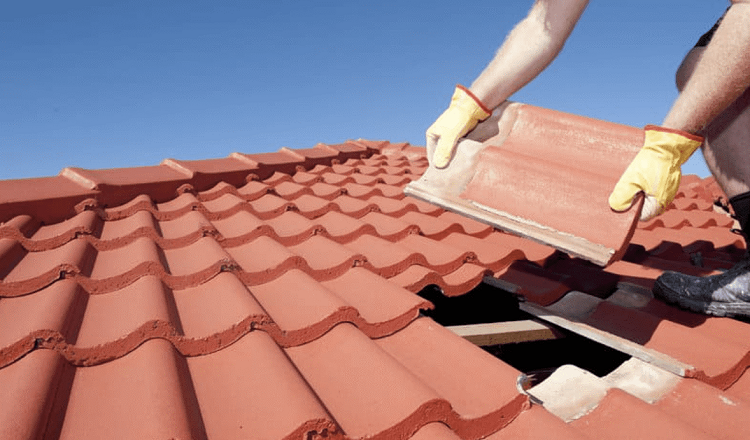 Signsthat An Individual Need Roof Replacement