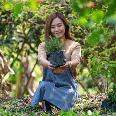 Crafting a Comprehensive Guide: Building Your Own Vegetable Garden at Home