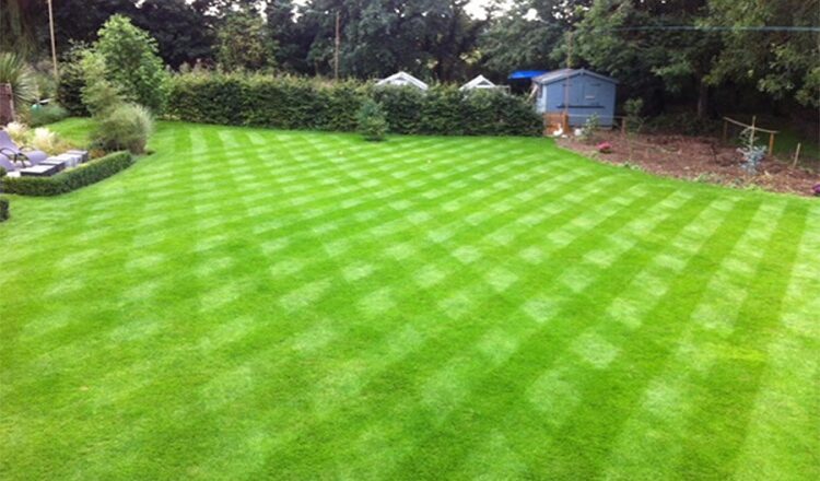 Transforming Lawns: The Benefits of Switching to Artificial Turf