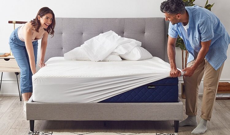 The Rise of Mattress Protector King