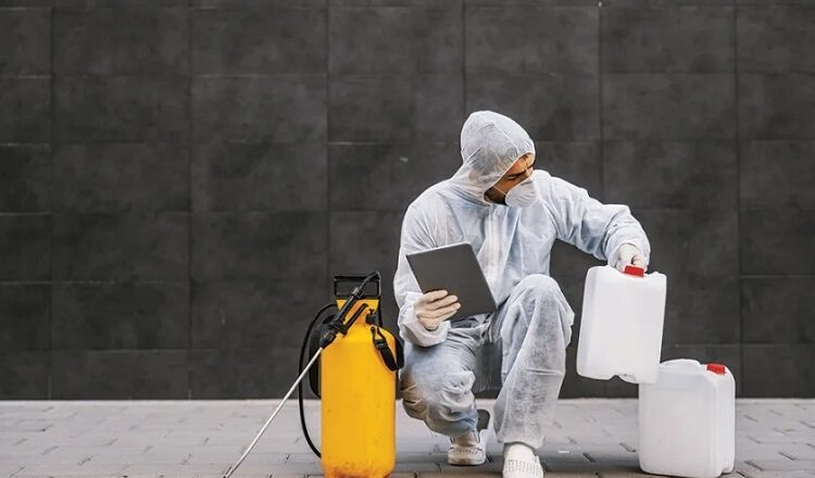 Few Important Roles Of A Pest Control Professional