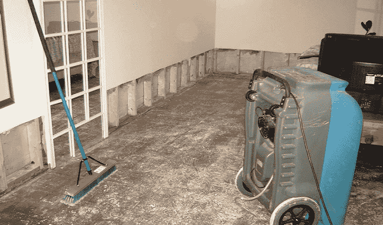 Mastering the Art of Water Damage Services: Your Complete Guide