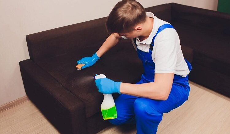 Luxury Furniture Deserves Luxury Care: Fabric Protection Services In Charlotte