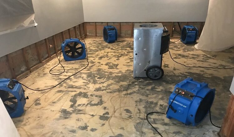 Why Hiring A Professional Water Restoration Company Matters?