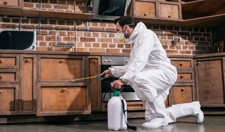 Everything About Working With Pest Control Services In Elgin