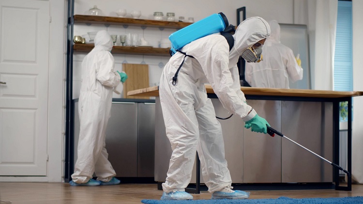 What to Expect During a Professional Pest Control Visit in Meridian? Pest Control