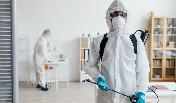 Common Mistakes People Make with DIY Pest Control