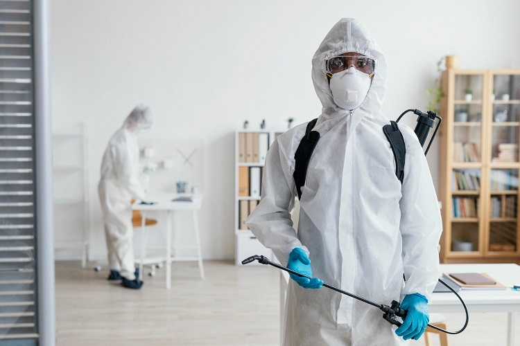 Common Mistakes People Make with DIY Pest Control Pest Control